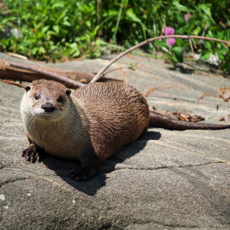 EcoTarium