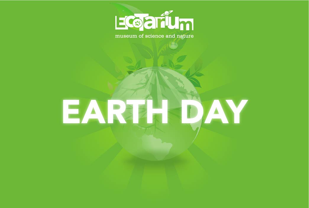 Best Earth Day Events For Kids Around Boston Upparent