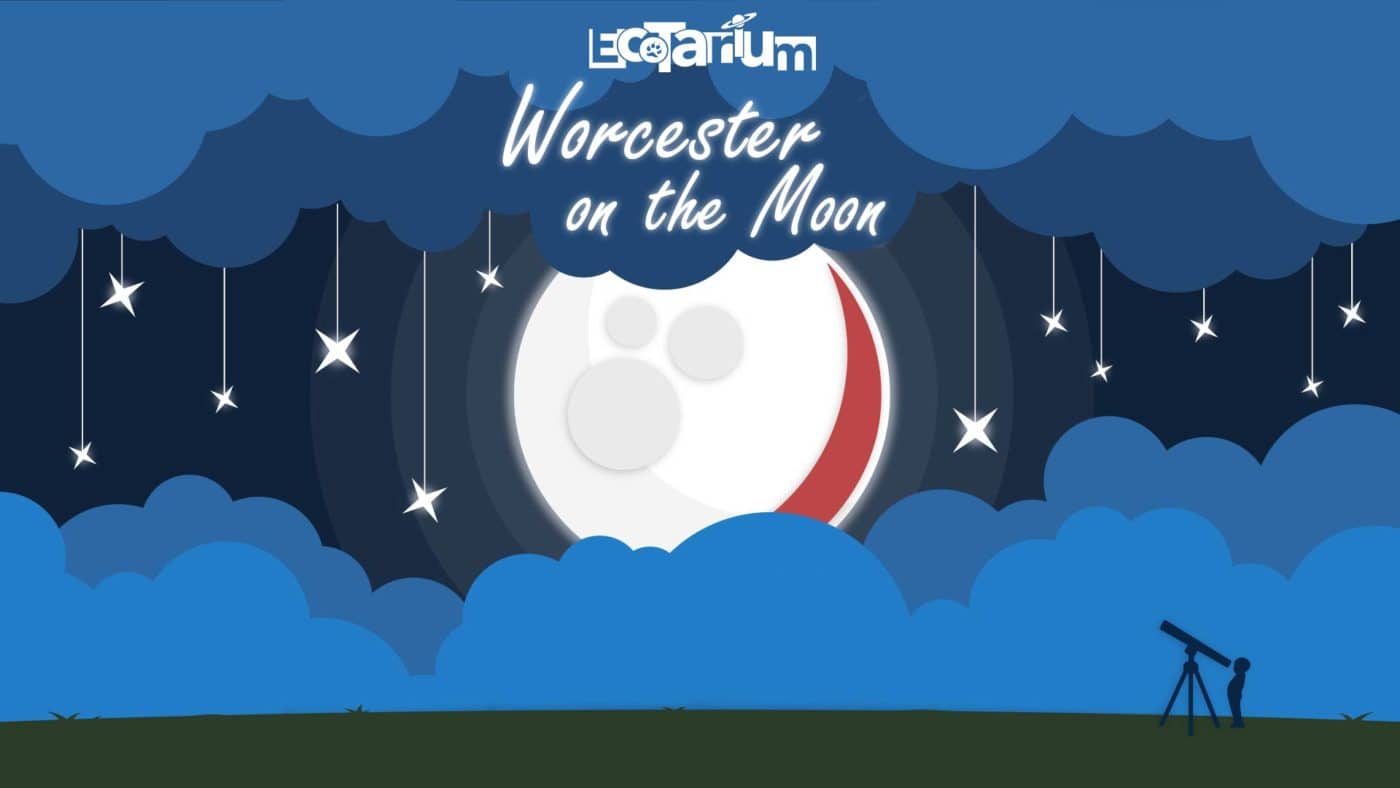 Woo On The Moon Woo On The Moon