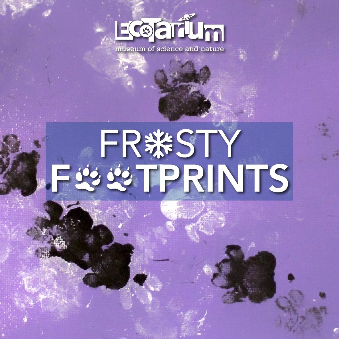 FRSOTY FOOTPRINTS 2019 01 FRSOTY FOOTPRINTS 2019 01