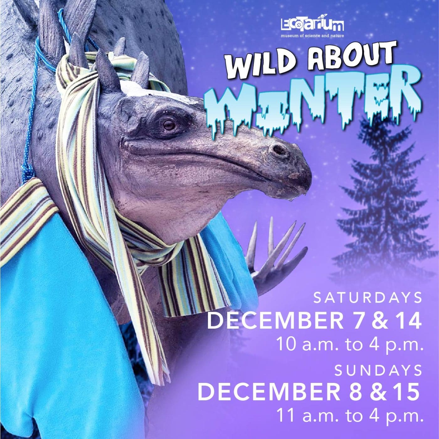 Wild About Winter 2019v2 01 Wild About Winter 2019v2 01