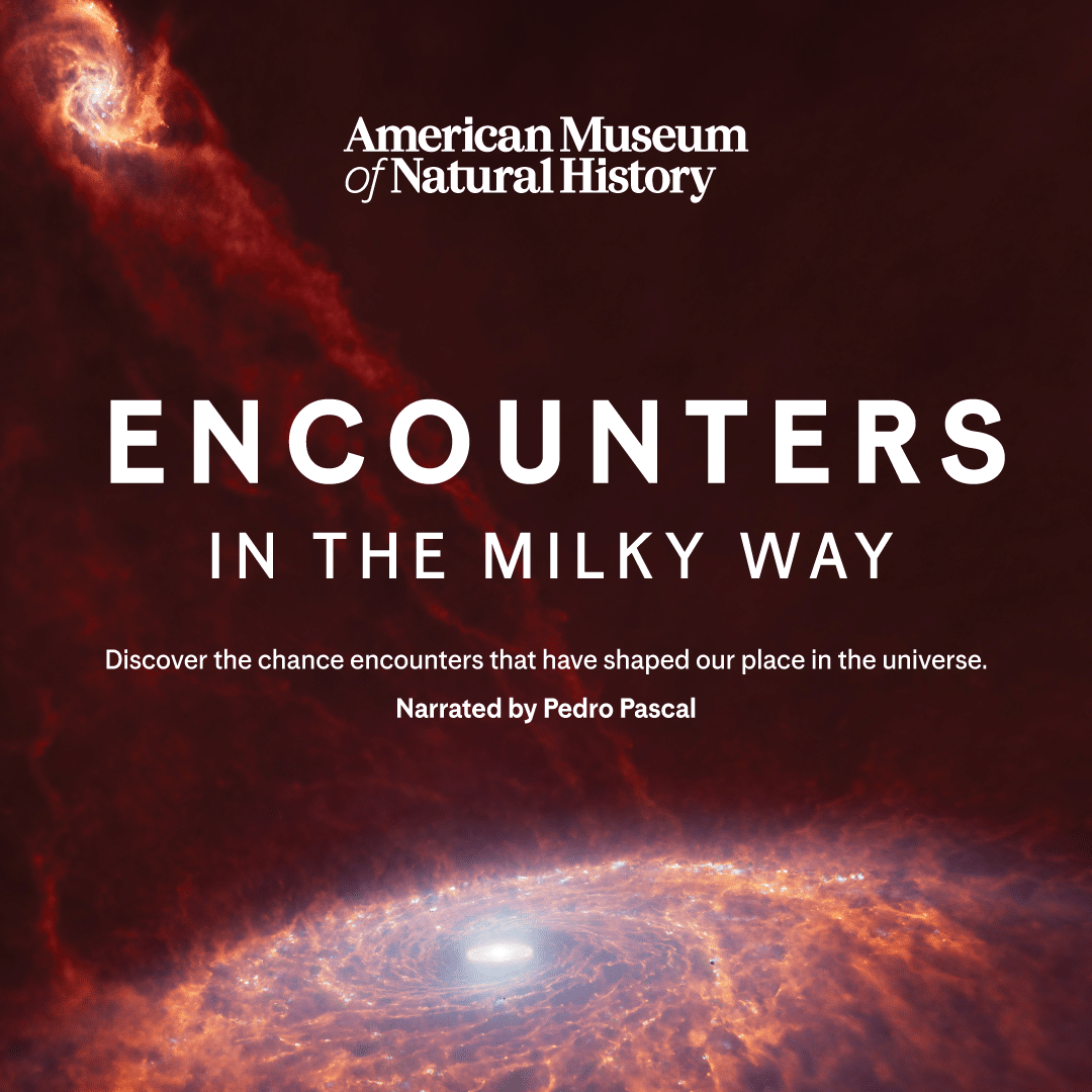 Encounters Poster WithoutPeople