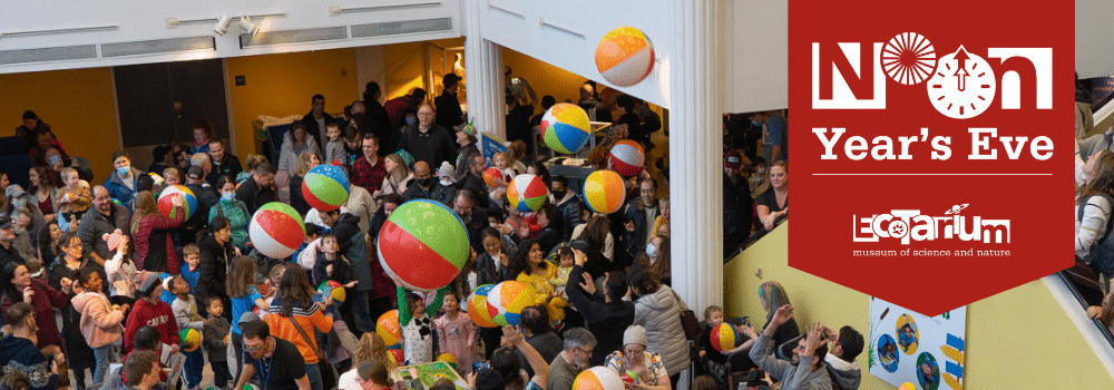 Noon Year’s Eve Celebration at the EcoTarium