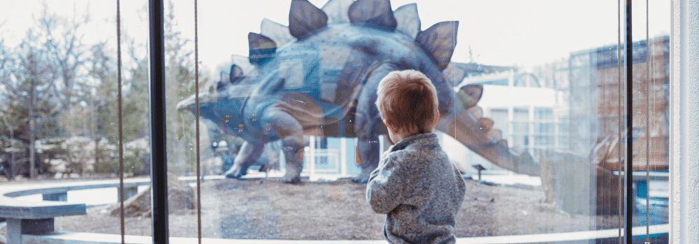 Wild About Winter Vacation Week
